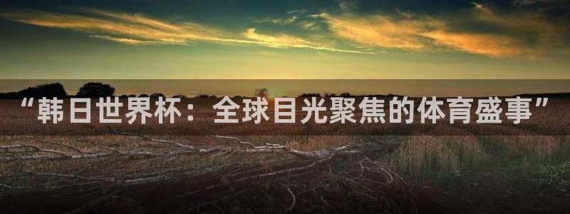 2026男足世界杯：“韩日世界杯：全球目光聚焦的体育盛事”