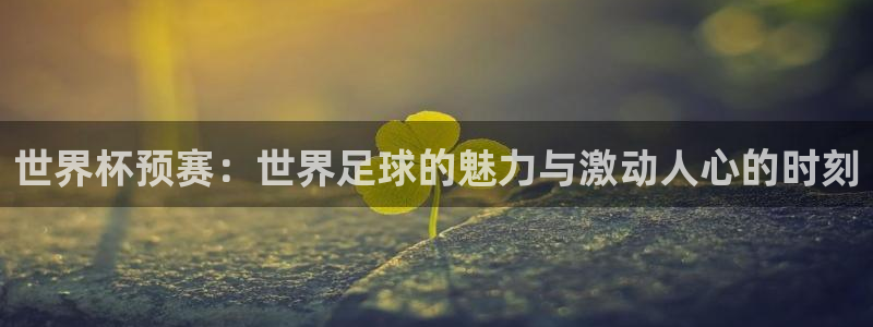 2026年世界杯对阵图：世界杯预赛：世界足球的魅力与激动人心的时刻