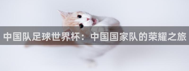 世界杯 直播：中国队足球世界杯：中国国家队的荣耀之旅