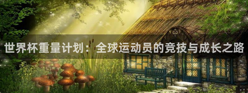 2026世界杯预选赛：世界杯重量计划：全球运动员的竞技与成长之路