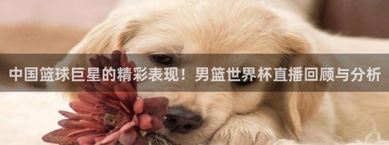 世界杯预选赛规则：中国篮球巨星的精彩表现！男篮世界杯直播回顾与分析