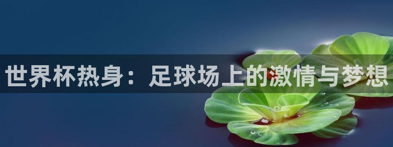 2026世界杯对阵图：世界杯热身：足球场上的激情与梦想