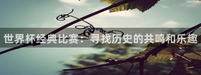 2026世界杯亚洲预选赛：世界杯经典比赛：寻找历史的共鸣和乐趣