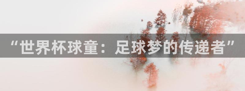 世界杯直播免费观看：“世界杯球童：足球梦的传递者”