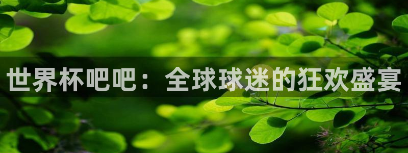 2026世界杯对阵图：世界杯吧吧：全球球迷的狂欢盛宴
