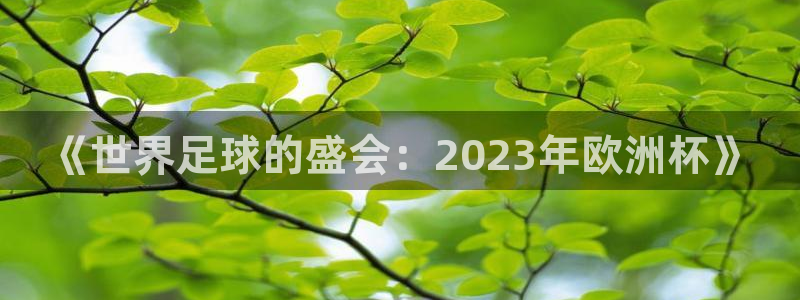 2026世界杯官网入口：《世界足球的盛会：2023年欧洲杯》