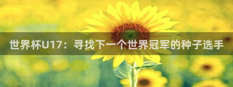 世预赛欧洲赛程表：世界杯U17：寻找下一个世界冠军的种子选手