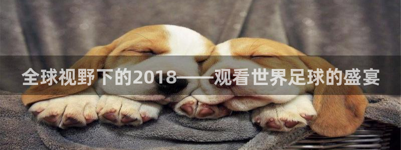 世预赛欧洲赛程表：全球视野下的2018——观看世界足球的盛宴