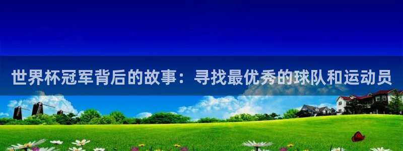 2006年世界杯：世界杯冠军背后的故事：寻找最优秀的球队和运动员