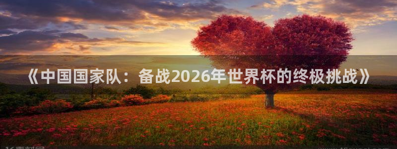 世界杯直播：《中国国家队：备战2026年世界杯的终极挑战》