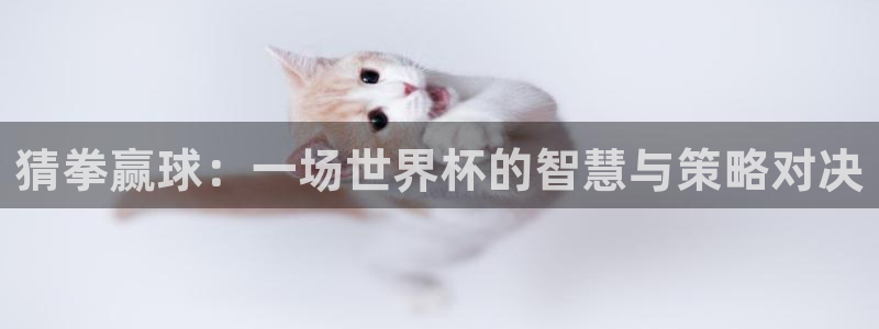 世界杯预选赛欧洲：猜拳赢球：一场世界杯的智慧与策略对决